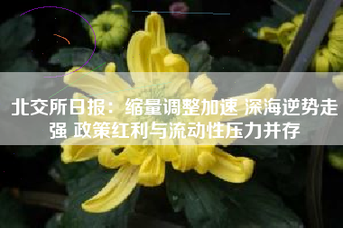 北交所日报：缩量调整加速 深海逆势走强 政策红利与流动性压力并存