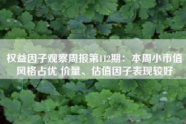 权益因子观察周报第112期：本周小市值风格占优 价量、估值因子表现较好