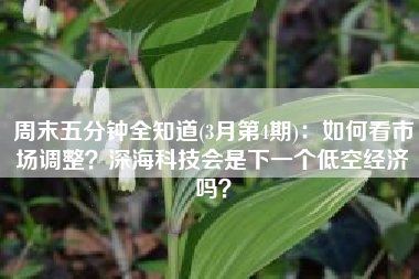 周末五分钟全知道(3月第4期)：如何看市场调整？深海科技会是下一个低空经济吗？