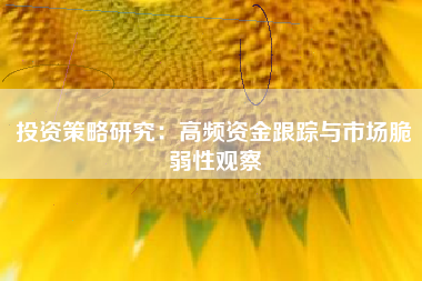 投资策略研究：高频资金跟踪与市场脆弱性观察