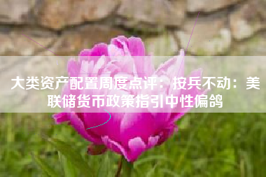 大类资产配置周度点评：按兵不动：美联储货币政策指引中性偏鸽