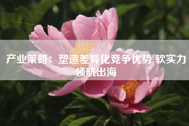 产业策略：塑造差异化竞争优势 软实力领航出海