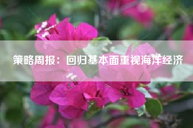 策略周报：回归基本面重视海洋经济