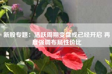 新股专题：活跃周期变盘或已经开启 再度强调布局性价比
