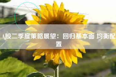 A股二季度策略展望：回归基本面 均衡配置