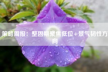 策略周报：整固期聚焦低位+景气韧性方向