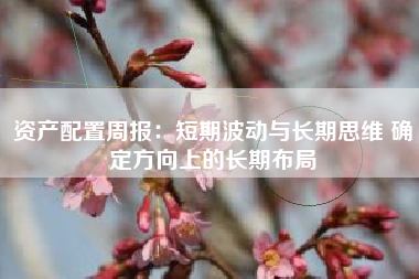 资产配置周报：短期波动与长期思维 确定方向上的长期布局