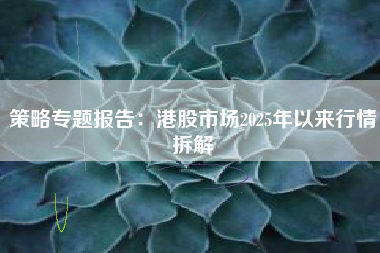 策略专题报告：港股市场2025年以来行情拆解