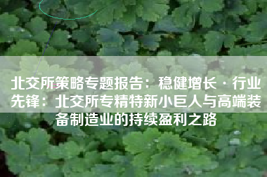 北交所策略专题报告：稳健增长·行业先锋：北交所专精特新小巨人与高端装备制造业的持续盈利之路