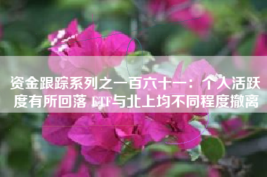 资金跟踪系列之一百六十一：个人活跃度有所回落 ETF与北上均不同程度撤离