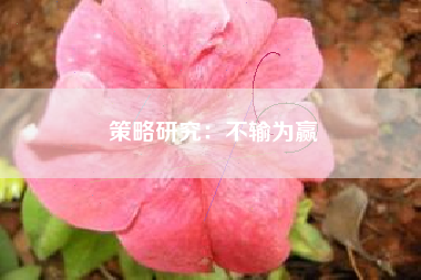 策略研究：不输为赢