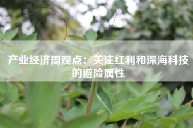 产业经济周观点：关注红利和深海科技的避险属性