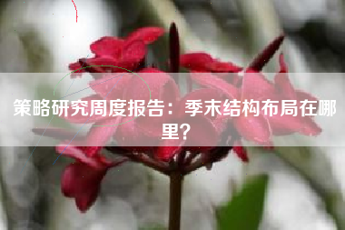 策略研究周度报告：季末结构布局在哪里？