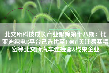 北交所科技成长产业跟踪第十八期：比亚迪纯电E平台已选代至1000V 关注易实精密等北交所汽车连接器&线束企业