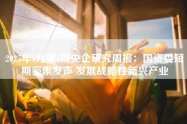 2025年3月第4周央企研究周报：国资委短期密集发声 发展战略性新兴产业