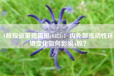 A股投资策略周报(0323)：内外部流动性环境变化如何影响A股？