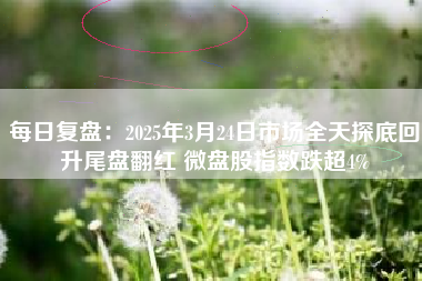 每日复盘：2025年3月24日市场全天探底回升尾盘翻红 微盘股指数跌超4%