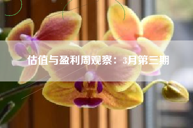 估值与盈利周观察：3月第三期