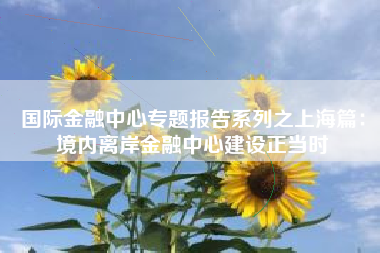 国际金融中心专题报告系列之上海篇：境内离岸金融中心建设正当时