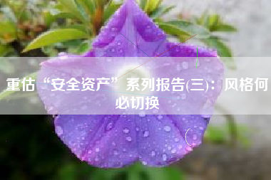 重估“安全资产”系列报告(三)：风格何必切换