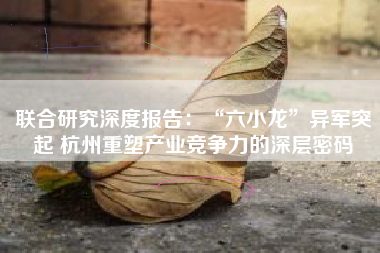 联合研究深度报告：“六小龙”异军突起 杭州重塑产业竞争力的深层密码