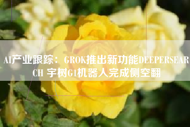AI产业跟踪：GROK推出新功能DEEPERSEARCH 宇树G1机器人完成侧空翻