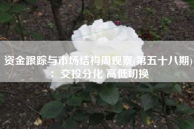 资金跟踪与市场结构周观察(第五十八期)：交投分化 高低切换
