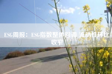 ESG周报：ESG指数整体回调 流动性环比收窄
