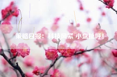 策略日报：科技风紧 小盘扯呼！