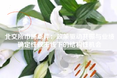 北交所市场点评：政策驱动共振与业绩确定性双主线下的结构性机会