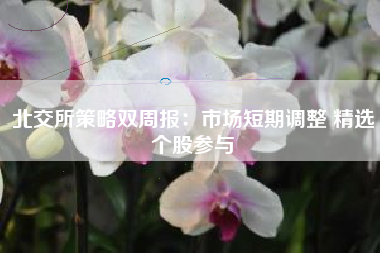 北交所策略双周报：市场短期调整 精选个股参与