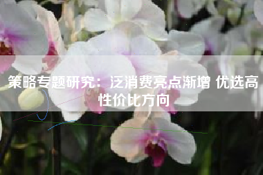 策略专题研究：泛消费亮点渐增 优选高性价比方向