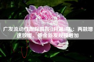 广发流动性跟踪周报(3月第3期)：两融增速放缓、基金新发规模增加