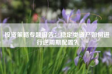 投资策略专题报告：稳定类资产如何进行逆周期配置？