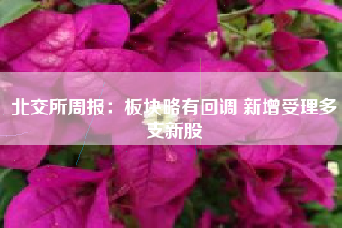 北交所周报：板块略有回调 新增受理多支新股