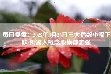 每日复盘：2025年3月26日三大指数小幅下跌 机器人概念股集体走强