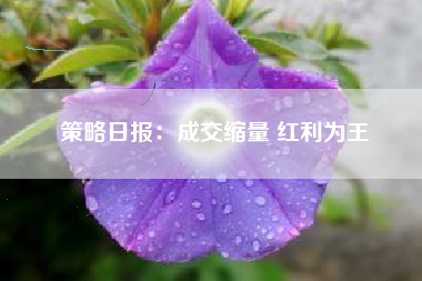 策略日报：成交缩量 红利为王