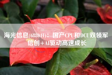 海光信息(688041)：国产CPU和DCU双领军 信创+AI驱动高速成长