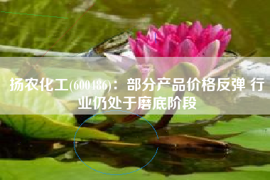 扬农化工(600486)：部分产品价格反弹 行业仍处于磨底阶段