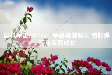 国科军工(688543)：军品稳健增长 看好弹药龙头高成长