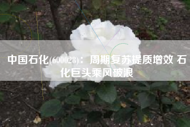 中国石化(600028)：周期复苏提质增效 石化巨头乘风破浪