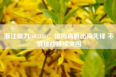 浙江鼎力(603338)：国内高机出海先锋 不惧挑战持续突围