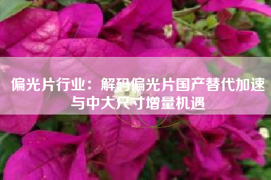 偏光片行业：解码偏光片国产替代加速与中大尺寸增量机遇