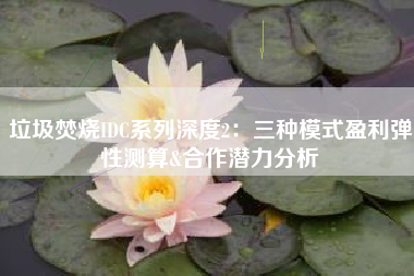 垃圾焚烧IDC系列深度2：三种模式盈利弹性测算&合作潜力分析
