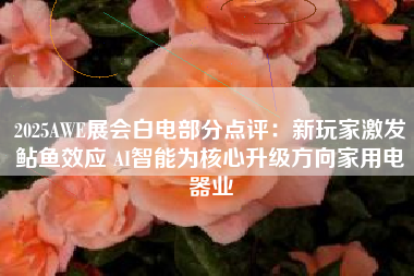 2025AWE展会白电部分点评：新玩家激发鲇鱼效应 AI智能为核心升级方向家用电器业