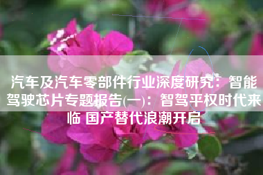 汽车及汽车零部件行业深度研究：智能驾驶芯片专题报告(一)：智驾平权时代来临 国产替代浪潮开启