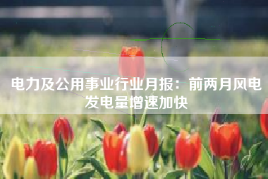 电力及公用事业行业月报：前两月风电发电量增速加快