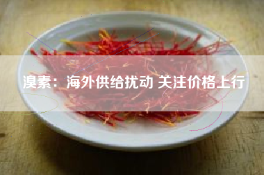 溴素：海外供给扰动 关注价格上行