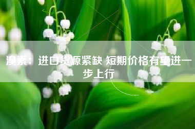 溴素：进口货源紧缺 短期价格有望进一步上行