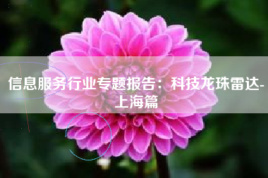 信息服务行业专题报告：科技龙珠雷达-上海篇